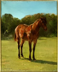 Studie av hest bai kirsebær. Maleri av Rosa Bonheur (1822-1899)