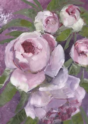 Maleriske rosa pioner