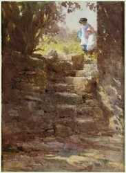 Solstråler, 1896