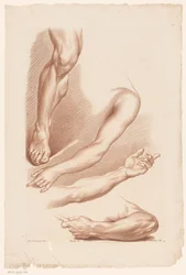 Tre armer og et ben Prinsipper for å tegne fra naturen, del syv (serietittel) VIIe Cahier de Principes du Design d