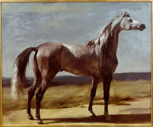 Hest i et landskap