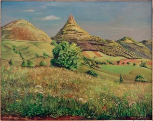 Landskap
