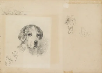 Portrett av en hund: Windsor, 1877