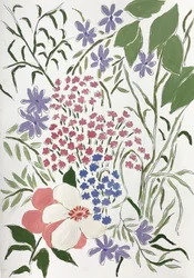 Fargerike blomster i hagen