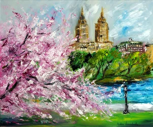 Kirsebærblomster i Central Park New York, 2022 (olje på lerret)