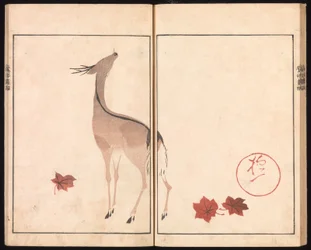 Ōson (Hōitsu) bildealbum (Ōson gafu)