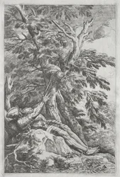 St. Vilhelm Eremitten, ca. 1662.