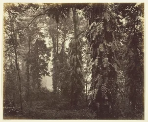 Darjeeling, India, ca. 1865.