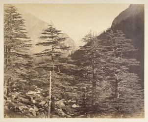 Snødekte topper nær Gangootri fra Bhairamghati. Fotograf: Bourne, Samuel Album med fotografier av India, hovedsakelig av Samuel Bourne1866