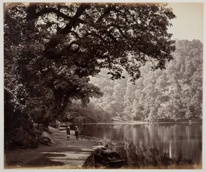 Uten tittel [trær nær vann, India], 1870-tallet.