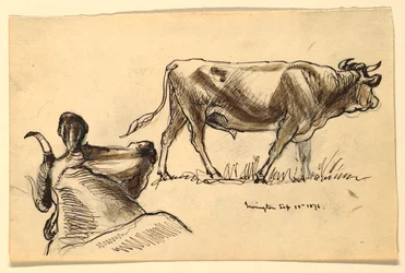Tegning, skisser. Kveg, Irvington, september 1876