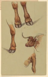Tegning, skisser fra Narragensett, Rhode Island, 1871