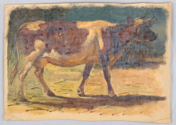 Tegning, studier. Kyr, august 1876