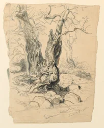 Tegning, studier. Trær, 23. desember 1885