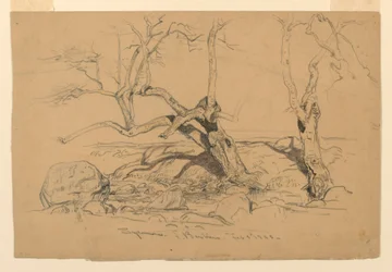 Tegning, studier. Trær, Santa Barbara, California, 3. februar 1888