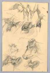 Studies of Cows   1255381   no       norwegian Successfully Translated  Original: Tomyris with the Head of Cyrus Translat: Tomyris with the Head of Cyrus 1251031 no norwegian Successfully Translated Original: ""Esquisse pour peinture a bordure blanche"" (S