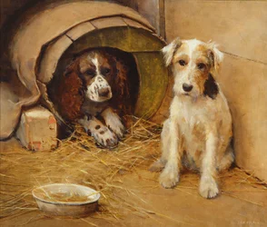 I Hundehuset
