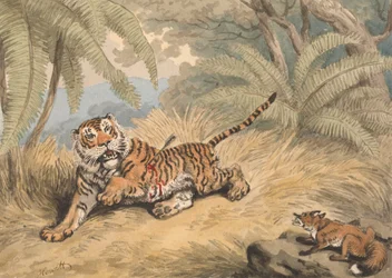 En tiger gjennomboret med en pil