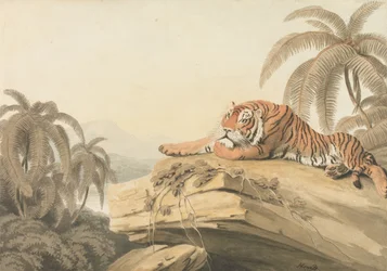En hvilende tiger: frontispisen til «Oriental Field Sports»