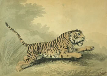 En tigerinne som hopper mot høyre, 1807