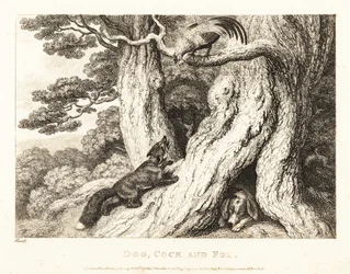 En hane i et tre overlister en rev, mens en hund sover. 1811