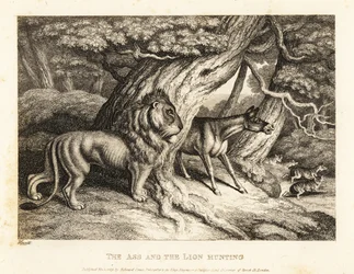 Et esel braser høyt mot byttet mens han jakter med en løve. 1811 (etsing)