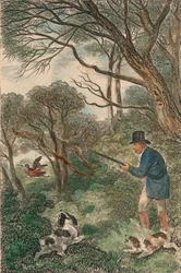 Jakt på rugde, 1819
