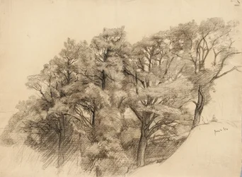 Landskap med trær, 1884 (kull på brunfarget papir)