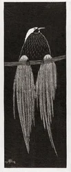 Bird of Paradise, av Samuel Jessurun de Mesquita