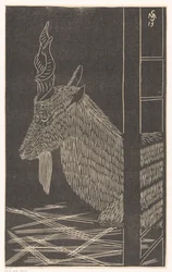 Markhor geit (sittende hjort i et bur)