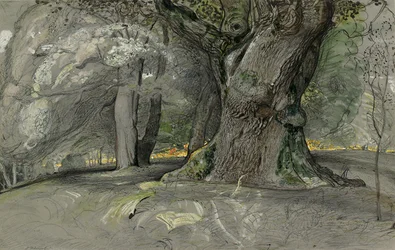 Eiketre og bøk, Lullingstone Park