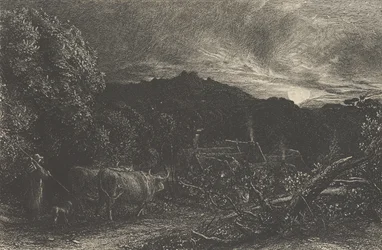The Weary Ploughman, eller The Herdsman, eller Tardus Bubulcus, begynte i