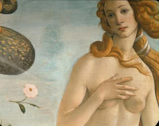 Venus’ fødsel (Venus Anadyomene)