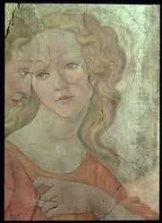 Venus og de tre gratiene som gir gaver til en ung jente, detalj av en av gratiene, ca. 1483, freskodetalj