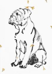 Skisse av bulldogvalp
