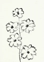 Blomsterskisse med kull