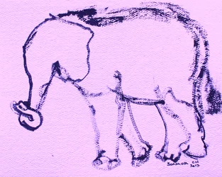 Tegning av en nysgjerrig elefant