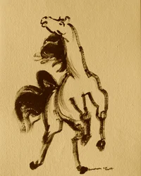 Hest 24