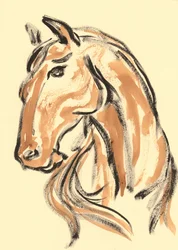 Majestetisk hesteprofil