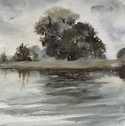 Refleksjoner fra Misty Tree