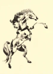 Kraftig steilende hest