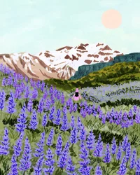 Fredfullt blomsterfelt i fjellene