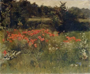 Valmuer, Reigate