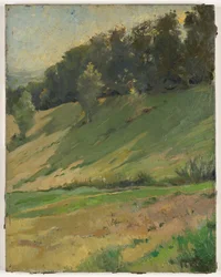 Utsikt fra Llandrindod Wells: The Upper Link, ca. 1900 (maleri)