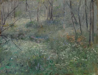 Vill persille, 1900.