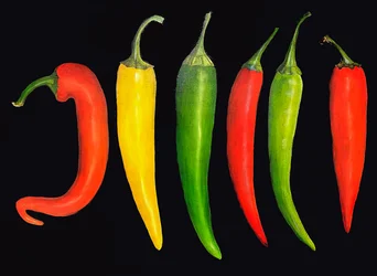 Fem chilier, 2024 (olje på lerret)