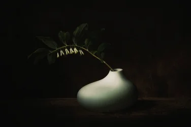 Delikat mørk blomsterstilleben