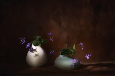 Svevende lilla blomster