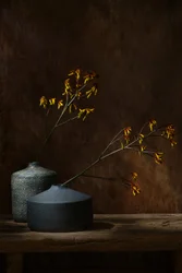 Stemningsfulle botaniske vaser