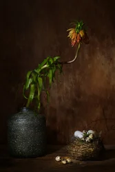 Stemningsfull blomsterrede